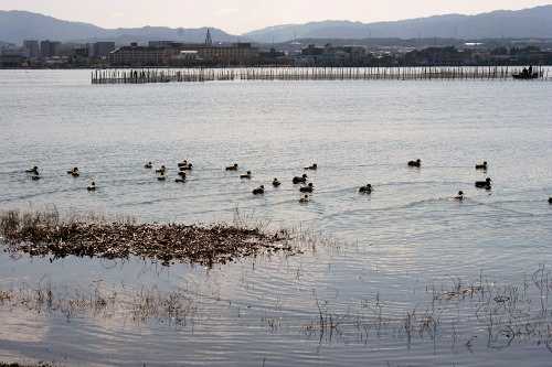 琵琶湖 膳所城跡公園 本丸町 大津市 滋賀県