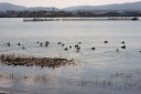 琵琶湖 膳所城跡公園 本丸町 大津市 滋賀県