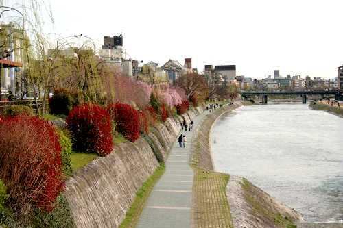 鴨川 大橋町 東山区 京都市