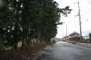 旧東海道杉並木 水口町今郷 甲賀市 滋賀県