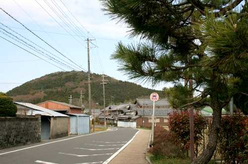東海道の松並木 水口町新城西ヶ瀬 甲賀市 滋賀県