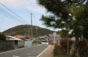 東海道の松並木 水口町新城西ヶ瀬 甲賀市 滋賀県