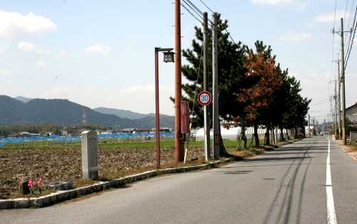 北脇縄手と松並木 水口町北脇 甲賀市 滋賀県