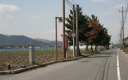 北脇縄手と松並木 水口町北脇 甲賀市 滋賀県