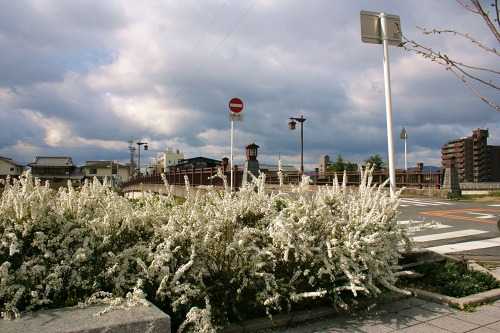 黒門跡（京口見付跡） 草津４丁目 草津市 滋賀県