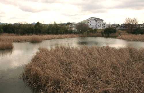 月輪池立場跡 月輪3丁目 大津市 滋賀県