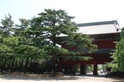 増上寺 三解脱門(中門) 東海道