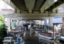 金杉橋より古川 東海道