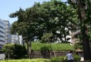 高輪大木戸跡（高輪２丁目１９番） 東海道