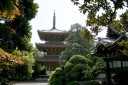 東禅寺 高輪 東海道