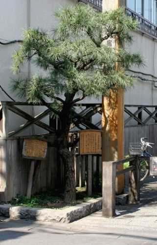 街道松 北品川 東海道