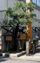 街道松 北品川 東海道