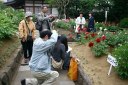 ぼたん園 写生三様 西新井大師 足立区