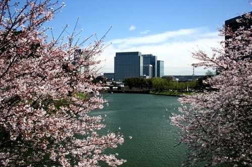 桜田門遠望 皇居