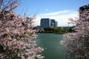 桜田門遠望 皇居