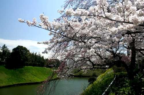 千鳥ヶ淵 皇居