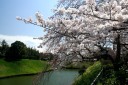 千鳥ヶ淵 皇居