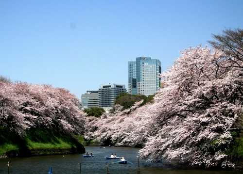 千鳥ヶ淵緑道 皇居