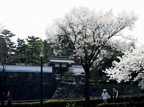 北桔橋門（ きたはねばしもん） 内濠 皇居