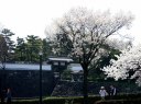北桔橋門（ きたはねばしもん） 内濠 皇居