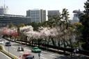 紀伊国坂 平川濠