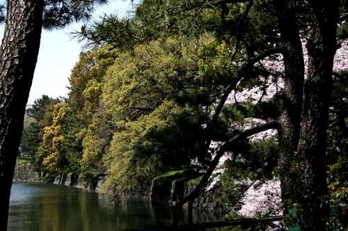 平川濠 皇居
