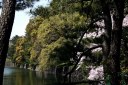 平川濠 皇居