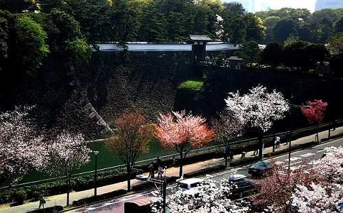 北桔橋門（東京国立近代美術館４Ｆ休憩室より）