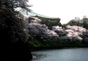 牛ヶ淵 日本武道館 皇居