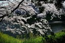 牛ヶ淵 皇居