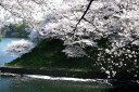 牛ヶ淵 皇居