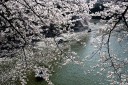 千鳥ヶ淵 田安門付近 皇居