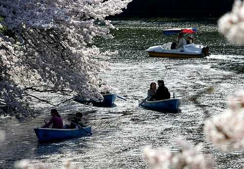 千鳥ヶ淵 田安門付近 皇居