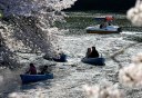 千鳥ヶ淵 田安門付近 皇居