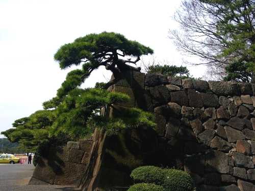 馬場先口 皇居