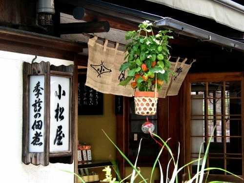 小松屋 柳橋 東京