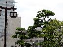 首尾の松、浅草御蔵跡碑 蔵前