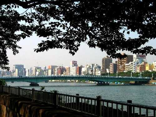 隅田公園東岸－言問橋 向島