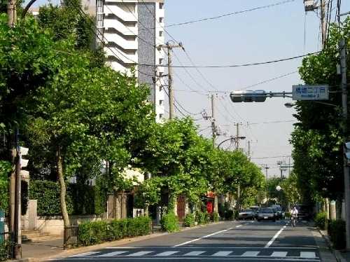 旧・旧奥州街道 橋場２丁目