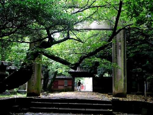 東照宮 石造明神鳥居 上野公園