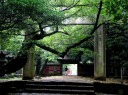 東照宮 石造明神鳥居 上野公園