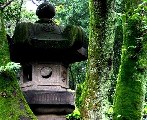石灯篭 東照宮 上野公園