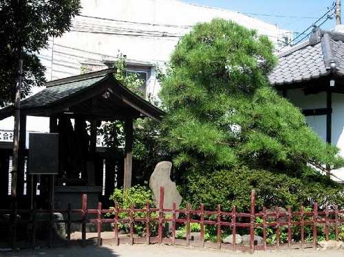 御行の松 根岸４－９－５