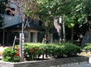一葉記念公園（記念館前）