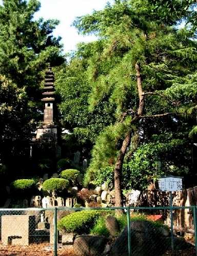左奥:七重の塔 その前:首塚 右手前:鷹見の松 円通寺