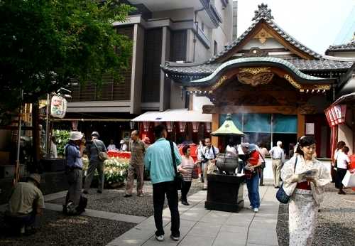 朝顔市 入谷鬼子母神