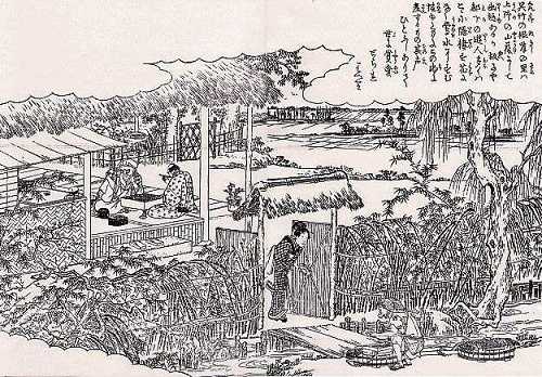根岸