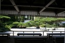 村上屋の念珠の松 鼠ヶ関 鶴岡市 山形県