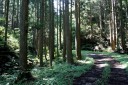 旧羽州浜街道・矢引峠道分岐点 矢引 鶴岡市 山形県