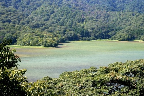 下池（大山公園） 大山３丁目 鶴岡市 山形県